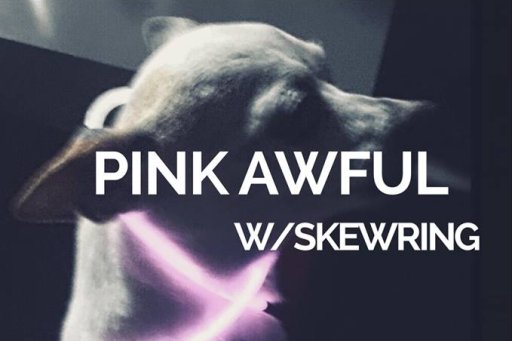 Pink Awful Live at Loving Cup