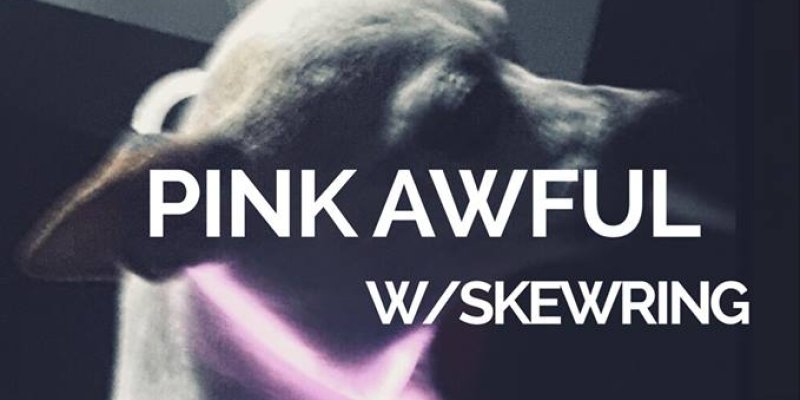 Pink Awful Live at Loving Cup