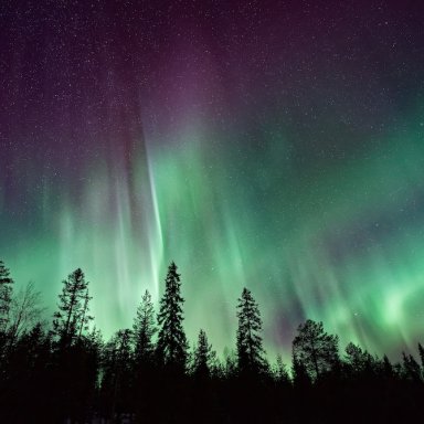 She's Your Cook But She Burns My Bread Sometimes